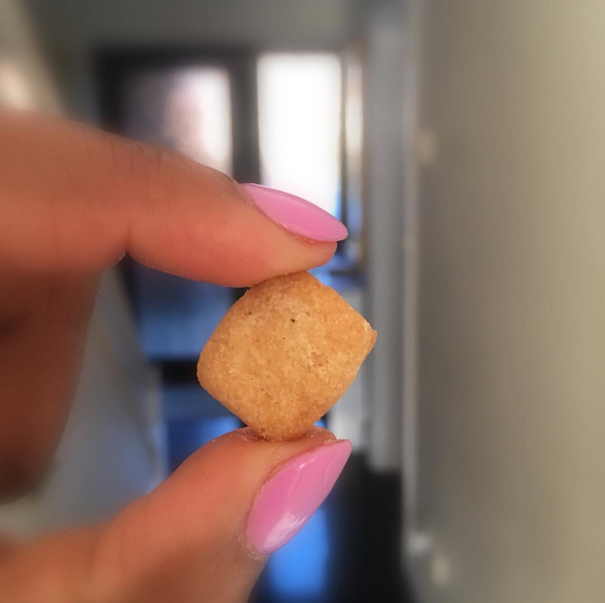 fried biscuit